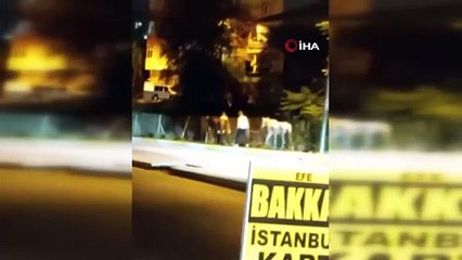 Bunu da mı görecektik! Cadde ortasında atla seyahat etti