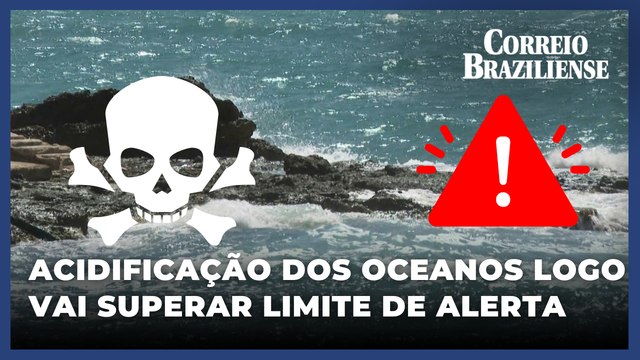 Acidificação dos oceanos atinge nível irreversível, alertam cientistas