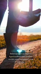 Wilayah Tanpa Es di Antartika: Rahasia yang Disembunyikan?