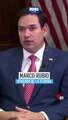 Lo que dijo Marco Rubio sobre los haitianos en Miami que supuestamente comen gatos