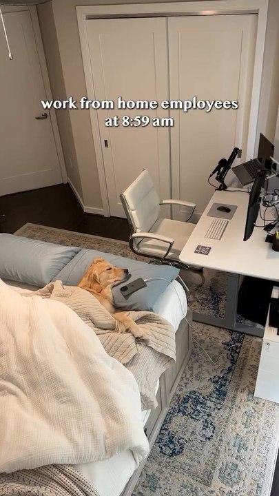 "Please Don't Tell My Boss  For Legal Purposes This is a Joke Follow For More Videos Have Trendingreels"...!!