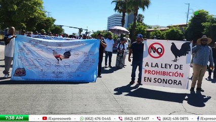 Galleros logran replanteamiento de Ley de Protección Animal en el Congreso