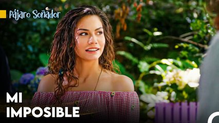 Una Noche Llena De Amor En La Oficina - Pájaro Soñador