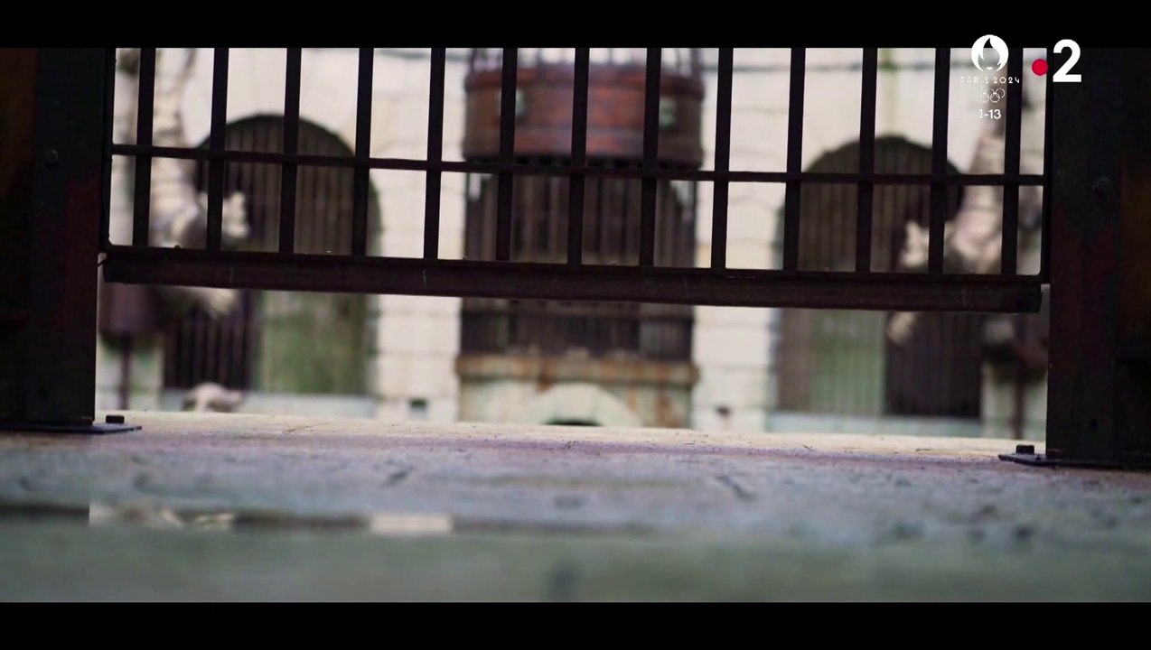 Fort Boyard 2024 - Introduction de la Salle du Trésor