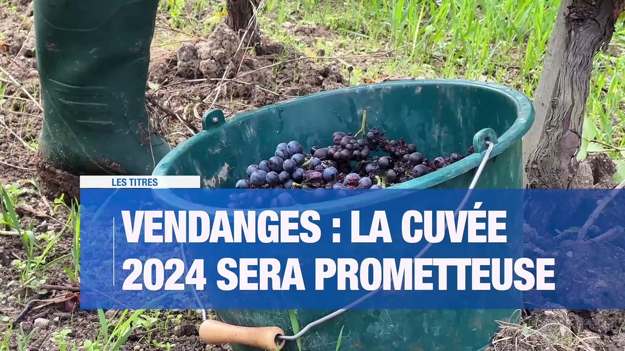Les buralistes inquiets face à la contrebande / C'est parti pour les vendanges ! / Une manifestation à Saint-Etienne le 1er octobre