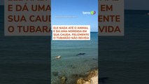 Cachorro pula no mar e morde cauda de tubarão na Espanha #shorts