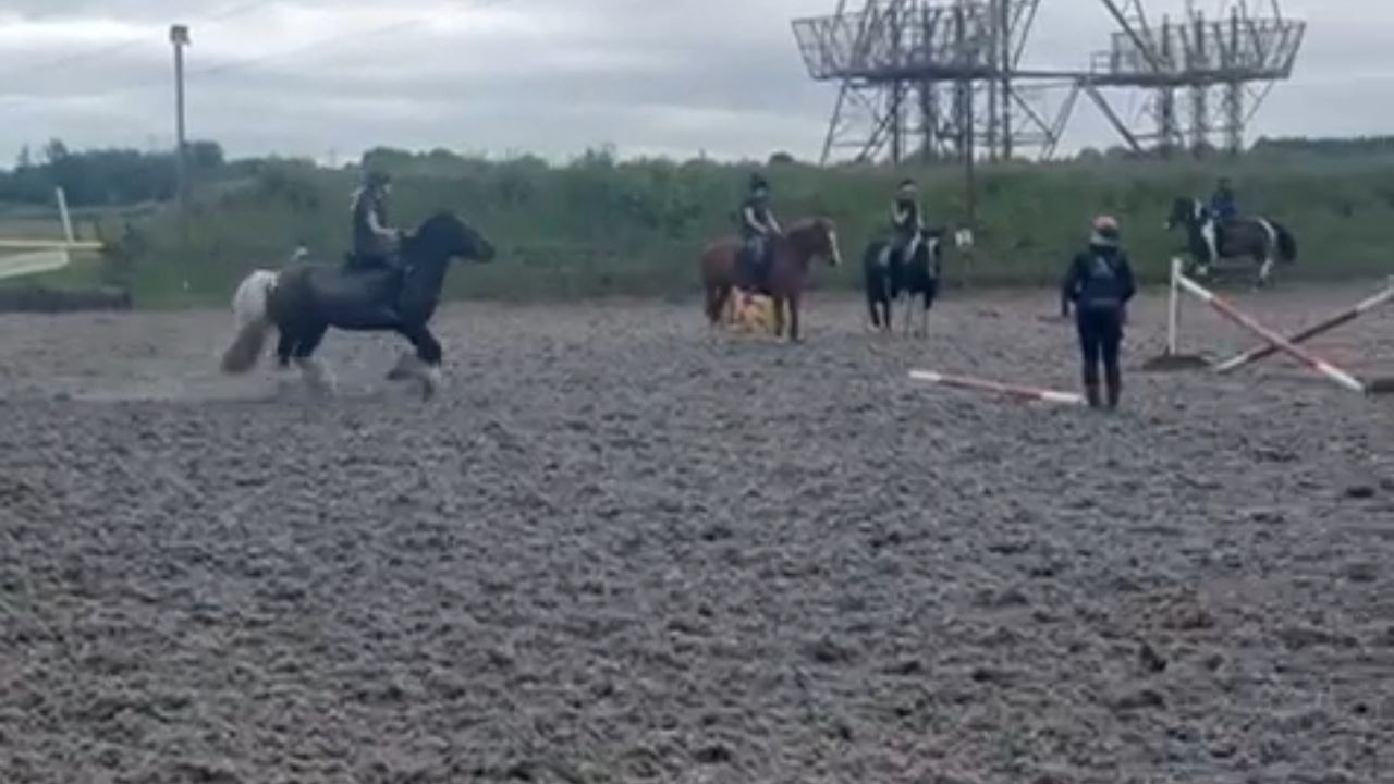 Horse misjudges jump and sends rider to the gro...
