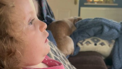 Unusual choice: Little girl uses her middle finger to point at everything around