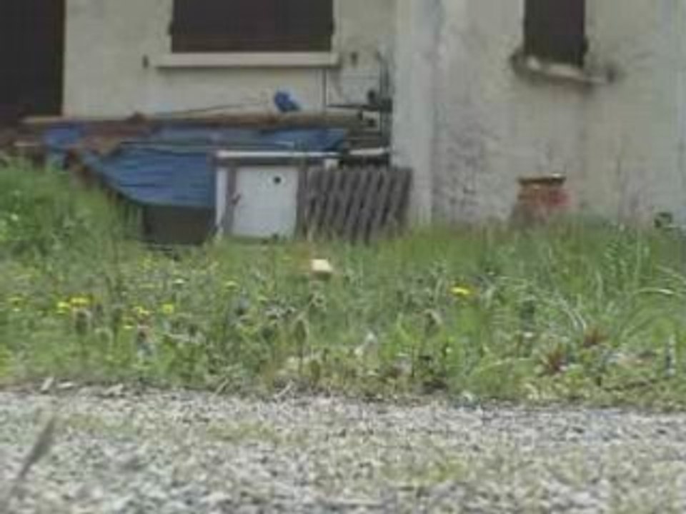 Minizilla Brushless 6200kv lipo 7.4v 2cell