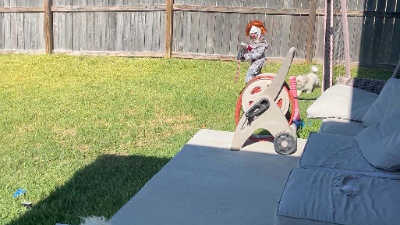 Small eye holes cause toddler to trip while chasing dogs in Halloween costume