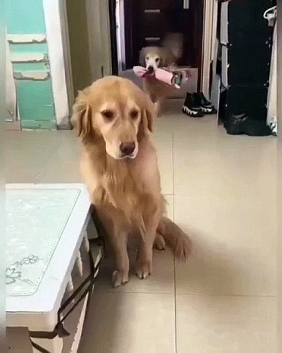 Why USA is No 1 !! video Dailymotion