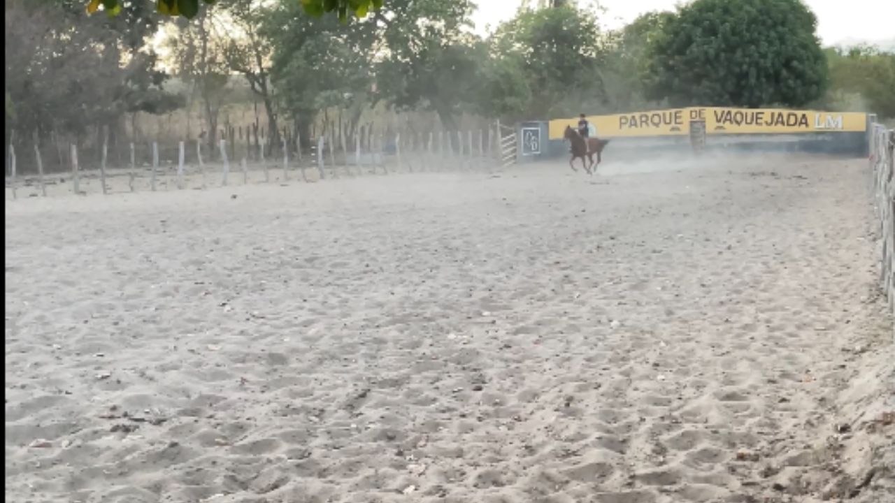 Rider unexpectedly flies over fencing after horse abruptly stops during ride