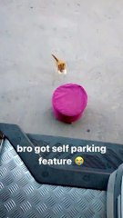 Le petit dispose d'une fonction de parking automatique