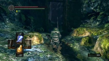 Dark Souls: Prepare to Die Edition online multiplayer - ps3