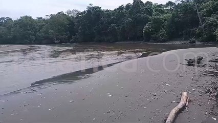 ext-corcovado-250924