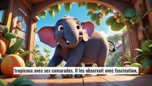Élio l'éléphant à l'école