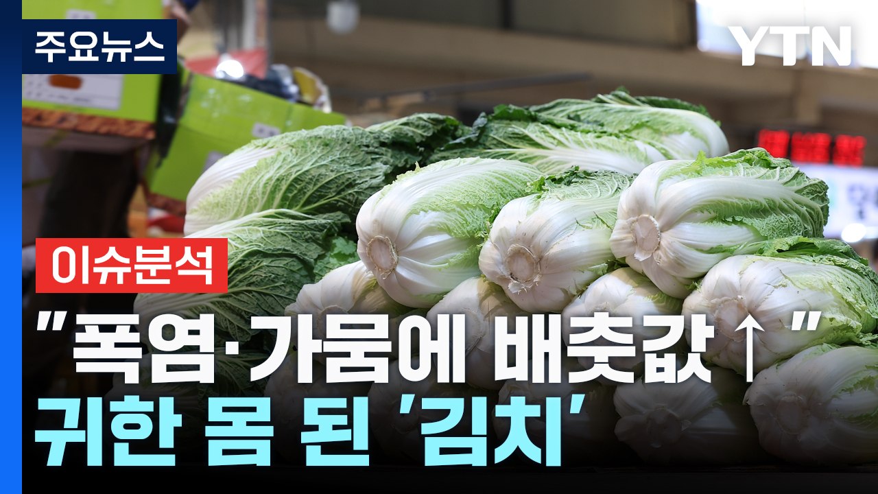[스타트경제] 배춧값 폭등에 '귀한 몸'된 배추김치..줄줄이 품절 / YTN