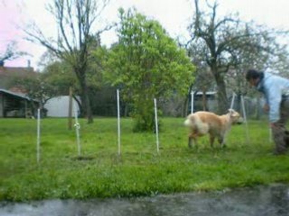 Photo 097