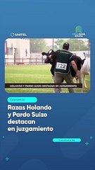 Razas Holando y Pardo Suizo destacan en juzgamiento