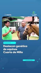 Destacan genética de equinos Cuarto de Milla