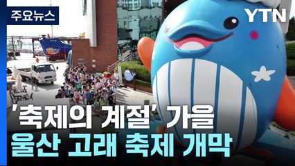 추억의 고래 다 모였다!...울산 고래 축제 개막 / YTN