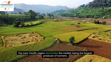 Turmeric Oleoresin Market