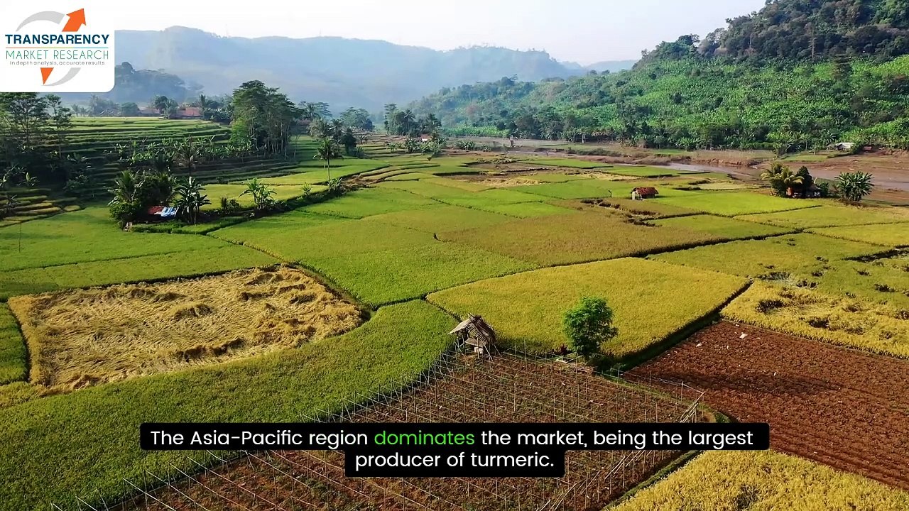 Turmeric Oleoresin Market