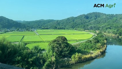Japan 2024 CBH Grower Study Tour | Farm Weekly