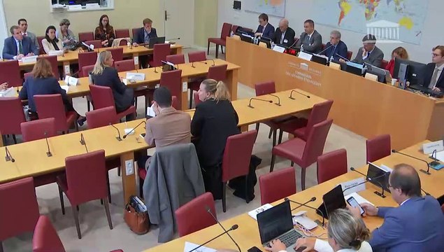 Commission des affaires étrangères : M. Luc Rémont, président-directeur général du groupe Electricité de France (EDF) - Mercredi 25 septembre 2024