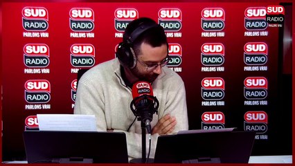 Attaque mortelle de frelons asiatiques : Comment s'en protéger ?