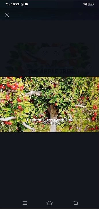 Apple love- Aporo Aroha