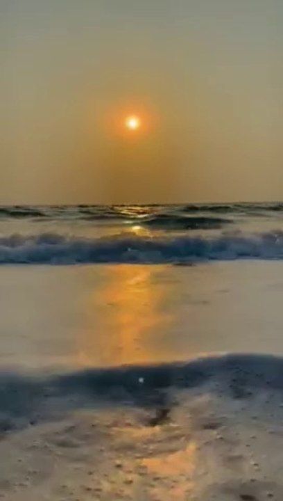 VID-20230220-WA0056
