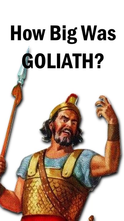 This is how tall goliath was