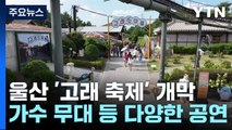 추억의 고래 다 모였다!...울산 고래 축제 개막 / YTN