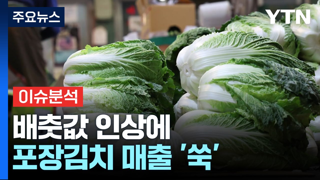 [경제PICK] 배춧값 인상에 포장김치 매출 '쑥'...일부 품절도 / YTN