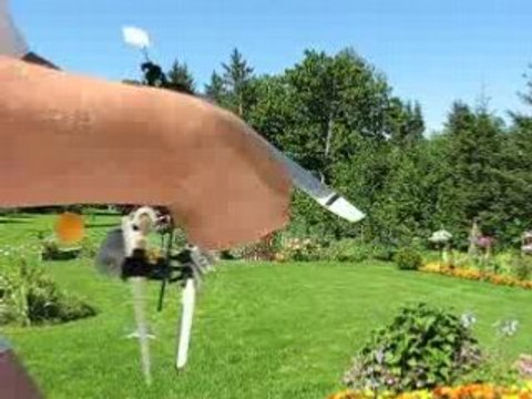 Honey bee king video 03