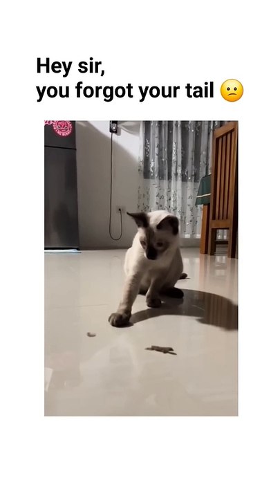 Excuse me sir, You dropped something