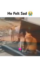 he wasn't orange enough