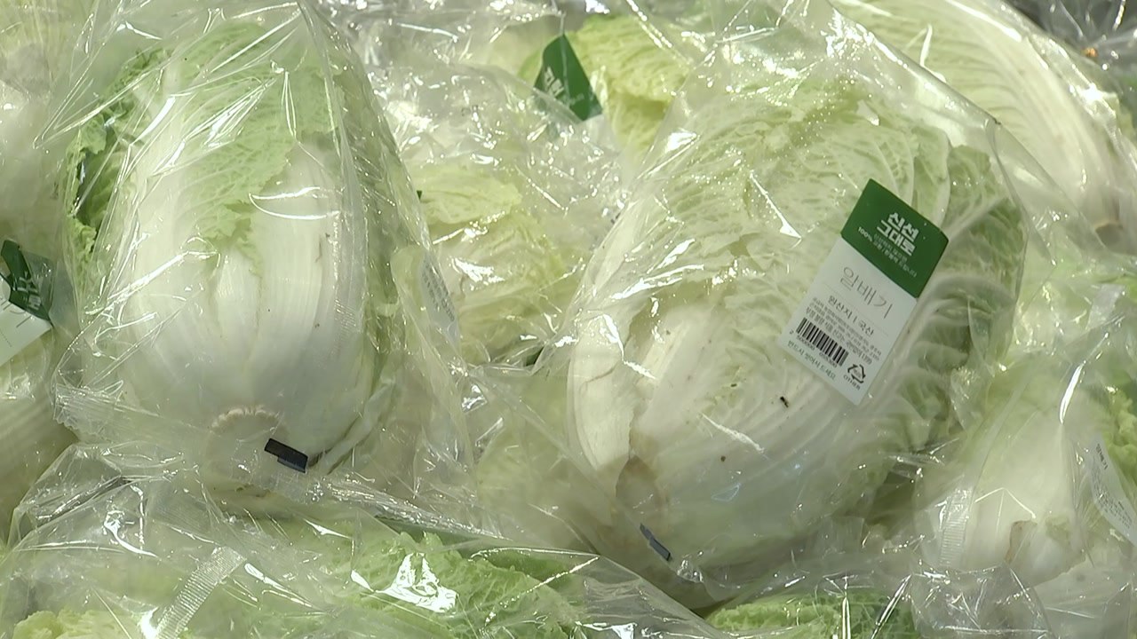 이마트 일부 점포, 할인 판매 배추 '완판'..."1인당 3포기" 제한도 / YTN
