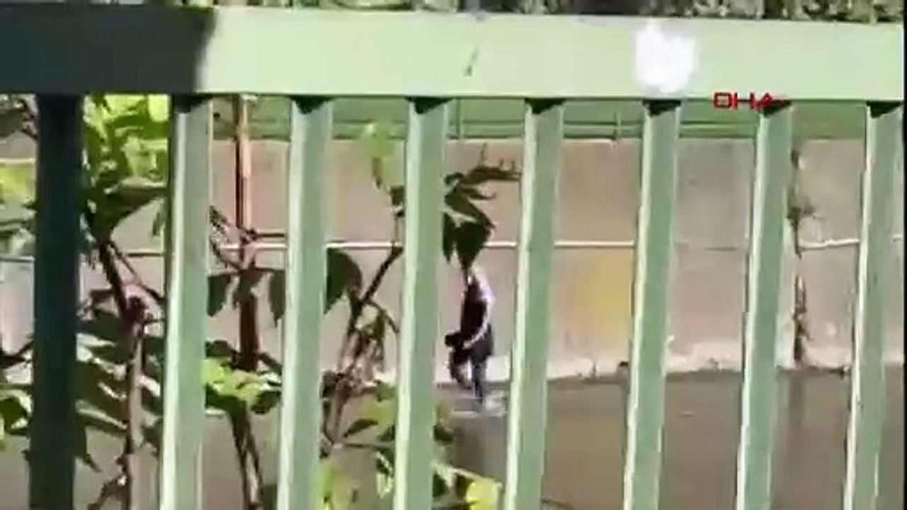 İstanbul - Kağıthane'de derede mahsur kalan kadını itfaiye kurtardı