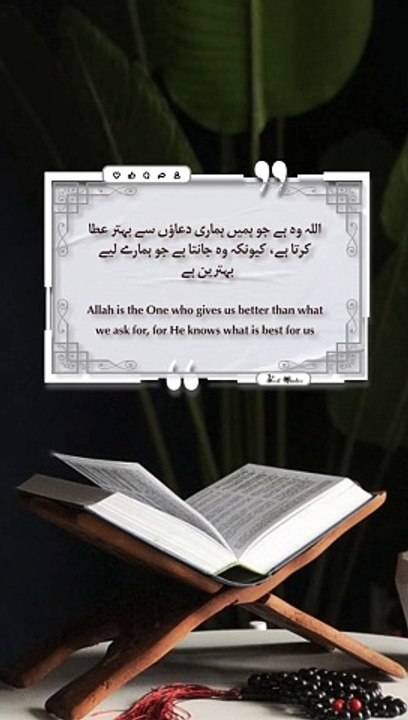 Best Quotes #quran #quotes #motivation #islamicquotes #shortsviral #shortvideo #shorts #trending