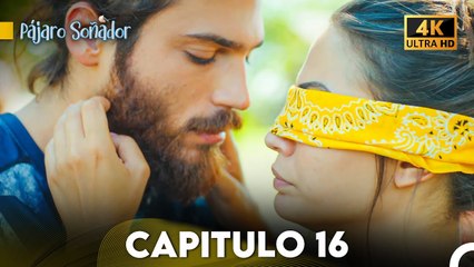 Pájaro Soñador Capítulo 16 (Doblado En Español 4K)