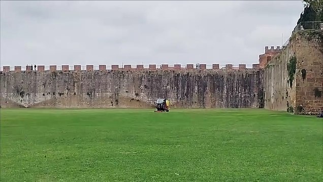 Potatura giardino piazza dei miracoli