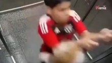 Winda zamyka się za chłopcem i jego psem. Kilka sekund później rozgrywa się dramat (video)