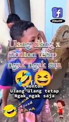 Aplikasi Lucu Bocil Penghasil Uang 💰