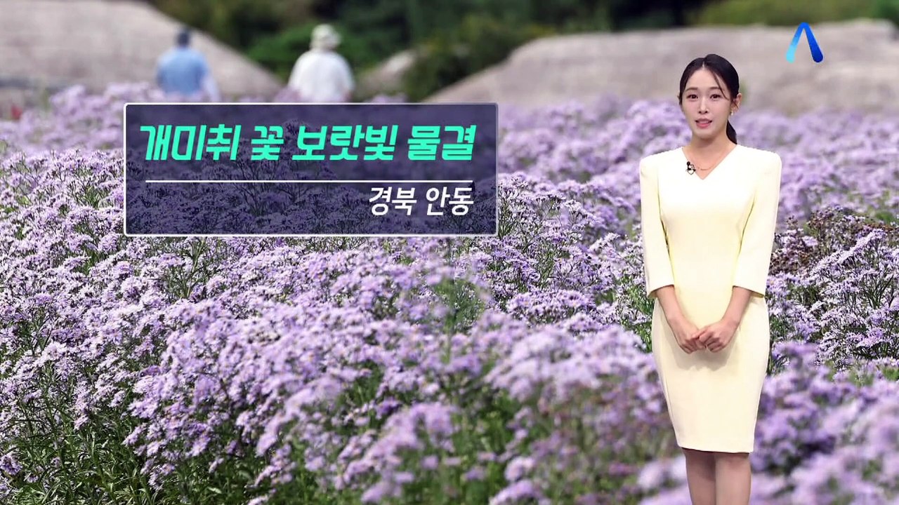 [날씨]서울 28도·대구 29도…평년보다 더워