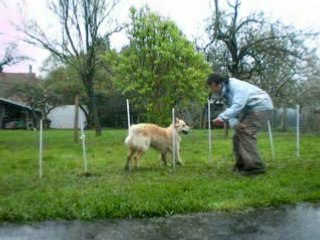 Photo 096