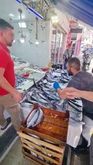 Palamut geri döndü