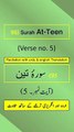 Surah At-Teen (التين) Ayah/Verse/Ayat 5 Recitation (Arabic) with English and Urdu Translations