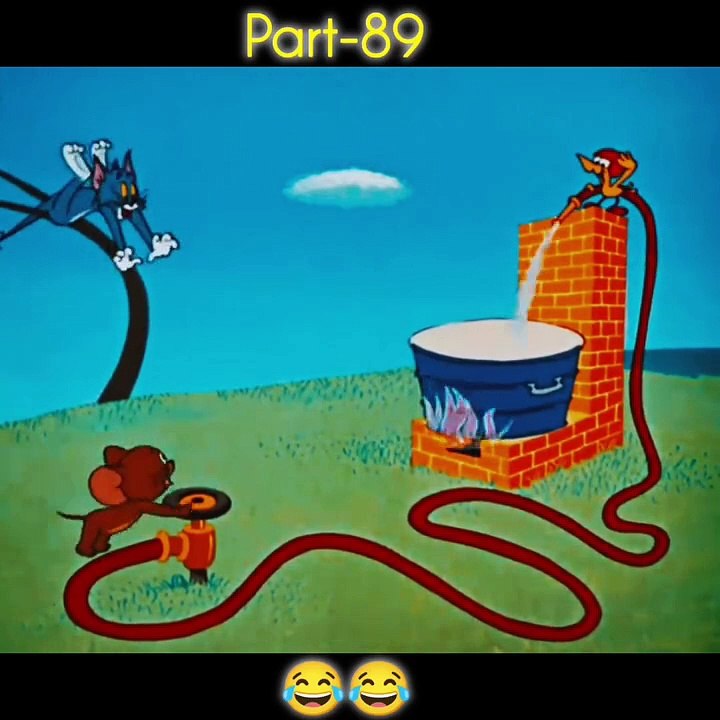 Fun and comedy show